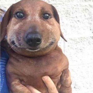 Meet your Posher, 1taptravis